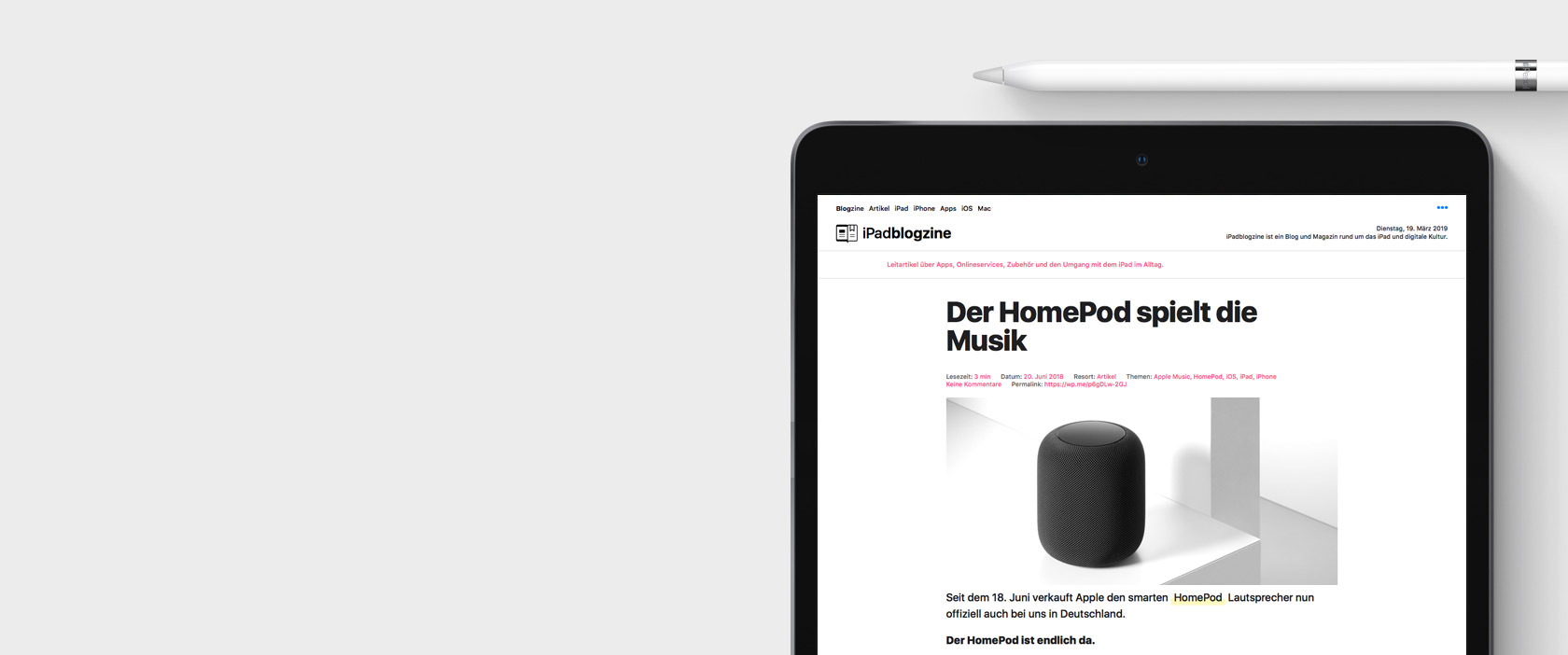 iPad Air 2019 iPad Air 2019 Ansicht mit Webseite